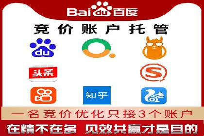托管SEM竞价全解析：从入门到精通的实战案例